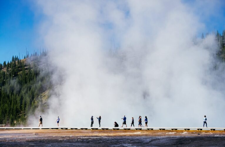 Yellowstone Forever is on the ropes